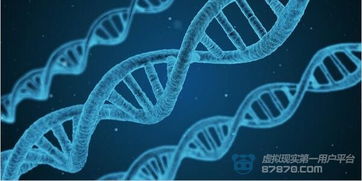 相机巨头Red发布世界首款全息手机 未来AR或将把桌子变成电脑